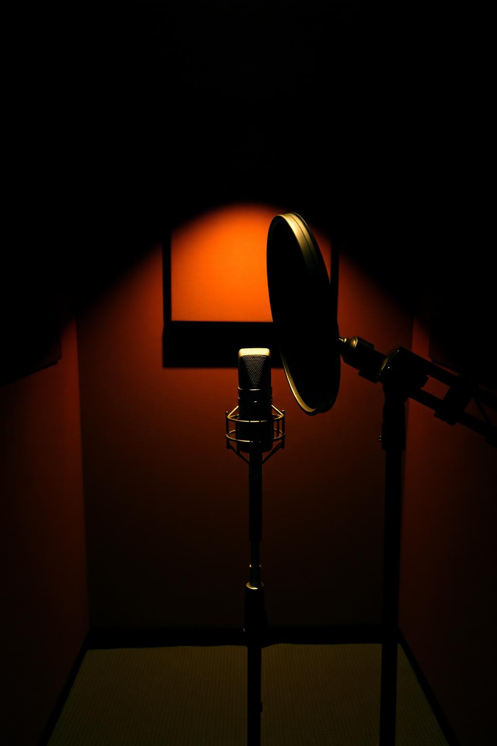 Large diaphragm vocal microphone in booth